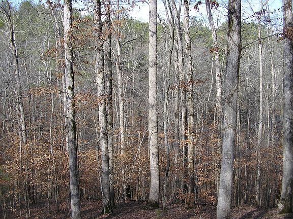 View from front porch