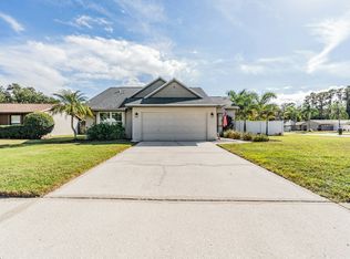 714 Satinleaf Ave, Oldsmar, FL 34677