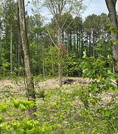 2nd image of 18 Piney Hill Rd
