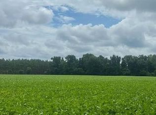 Puddin Swamp Rd, Turbeville, SC 29162