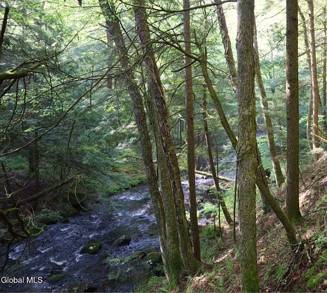 4th image of L21.11 Black River Road