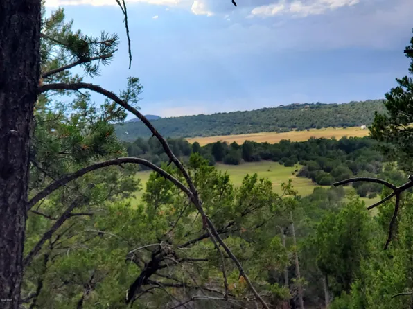 38 County Road 3314, Vernon, AZ 85940