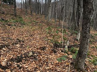 1327 Oxbow Rd, Bridgewater Corners, VT 05035