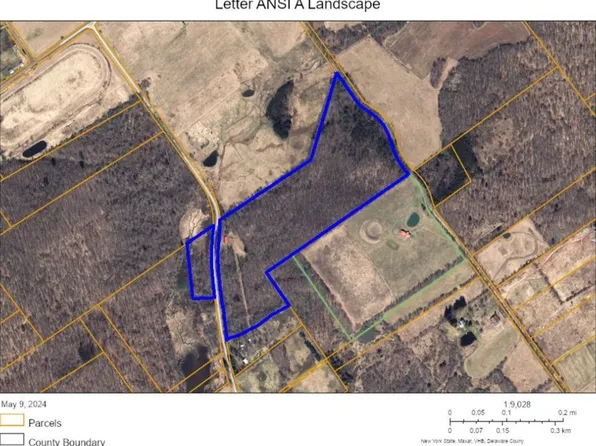 4104 E Brook Rd, Walton, NY 13856