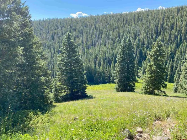 TBD County Road 864A, Cimarron, CO 81220