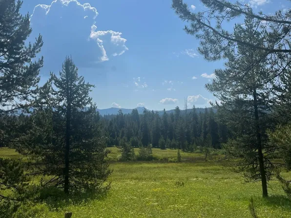 Elk Run Rd, McCall, ID 83638