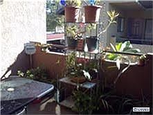 4th image of 428 N Imperial Ave #18