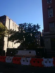 206 Forsyth Street in Lower East Side