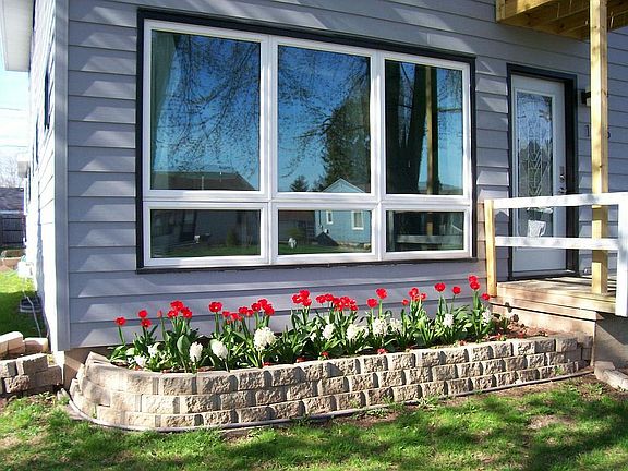Spring tulips.