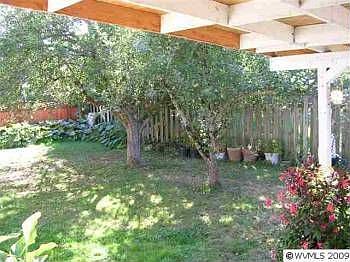 2nd image of 521 Maple Dr