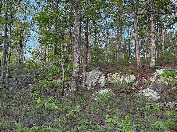 3rd image of 151 Wedgewood Dr