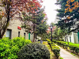 Rented by Voro New York