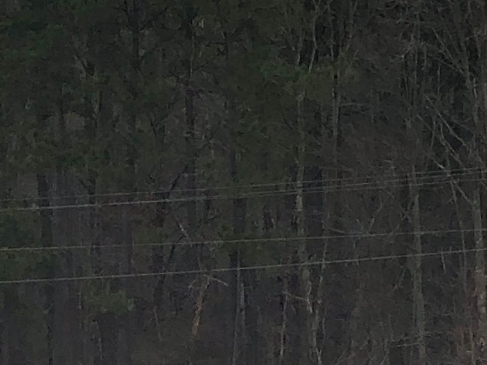 2nd image of Hunter St