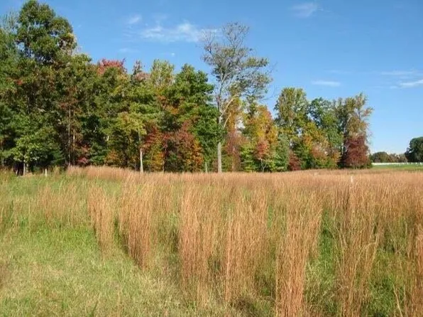 LOT 25 Farm Dr, Moneta, VA 24121