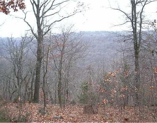 4th image of 81 Mercury Ln