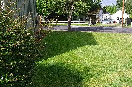 The Oaks — Photo 3