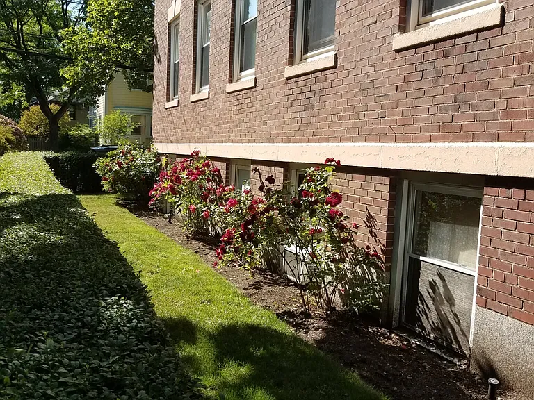 55 Manchester Rd #5 — Photo 19