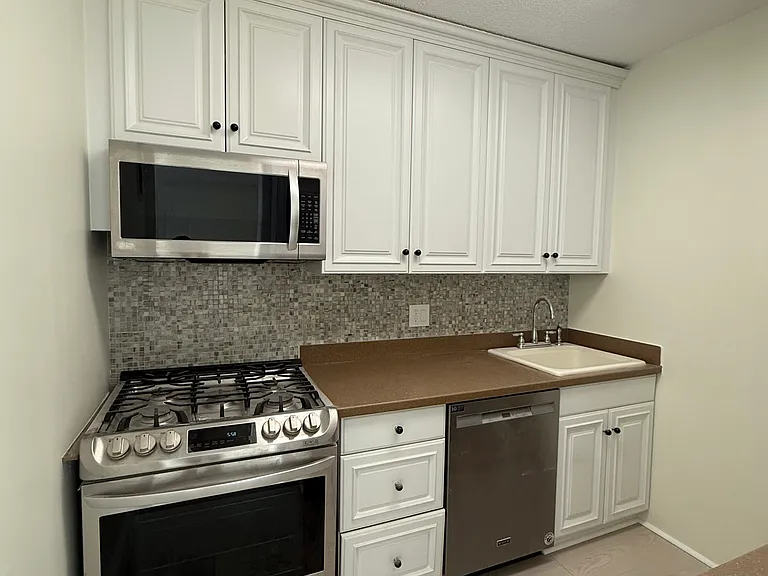 85 E India Row #38D — Photo 12