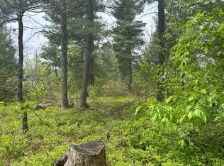 V/l E Cook St, Idlewild, MI 49642