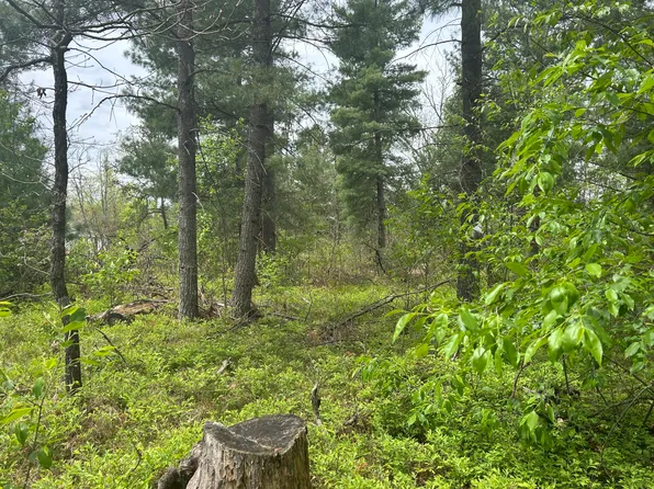 V/l E Cook St, Idlewild, MI 49642