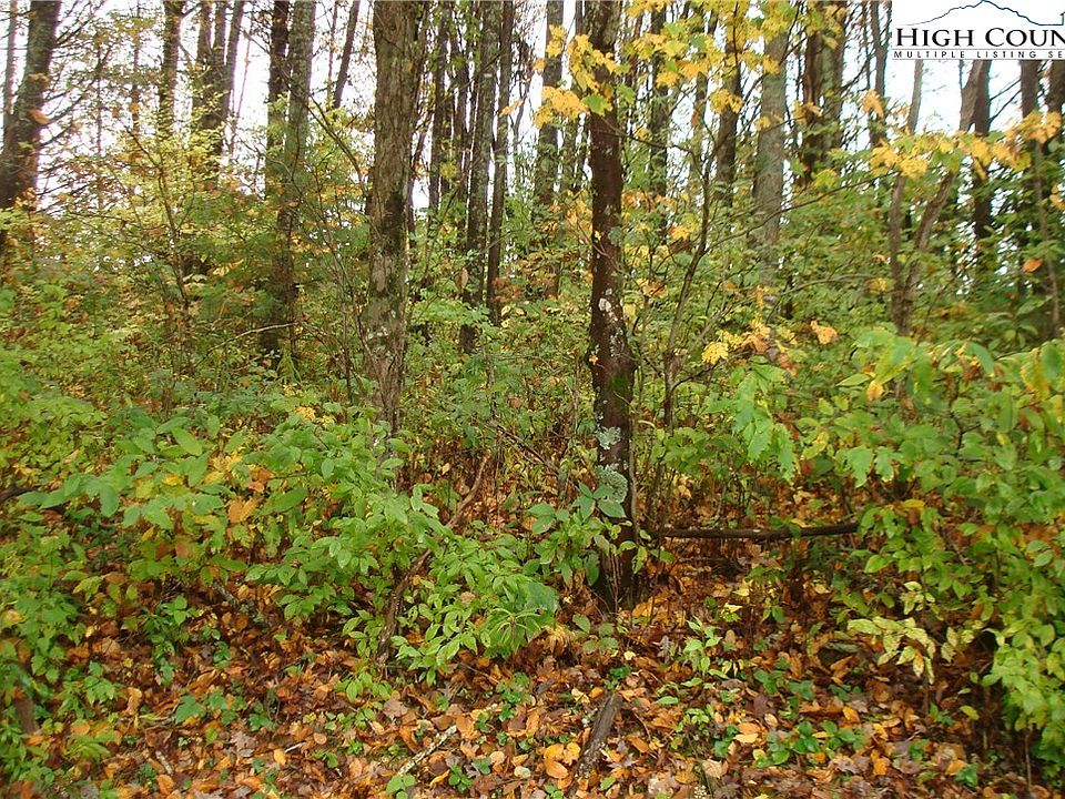 2nd image of TBD Old Montezuma Road