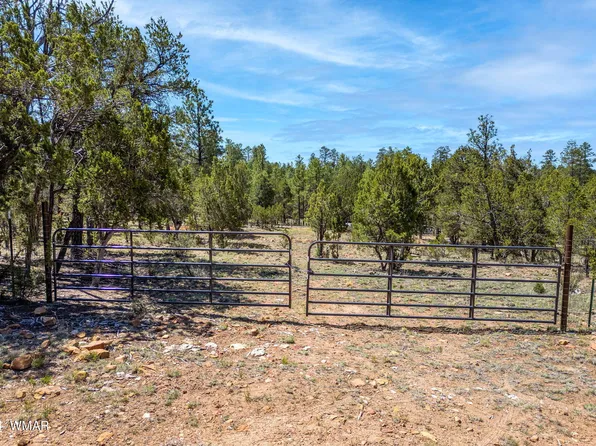 2968 Tamarisk Trl, Heber, AZ 85928