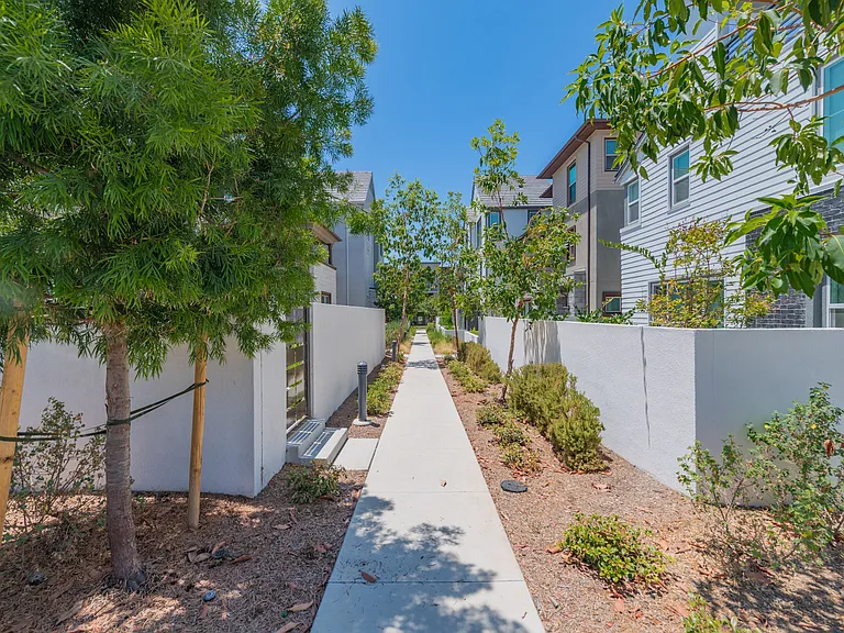 224 Abacus — Photo 4