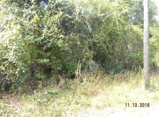 129 Thomas Rd, Crescent City, FL 32112