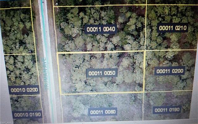 1st image of 814 Truman Ave