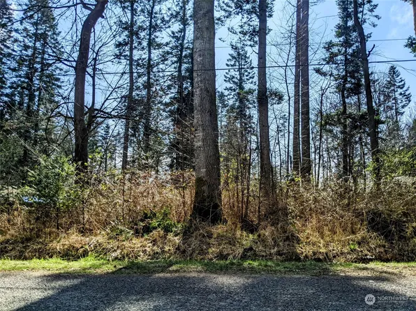 1441 Churchill Drive, Point Roberts, WA 98281