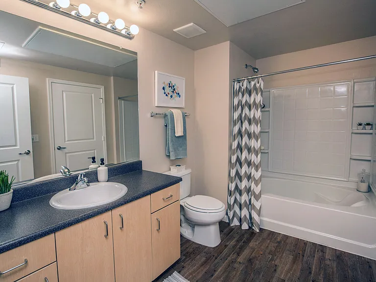 1A1 763-801 SQ FT 1 Bed 1 Bath