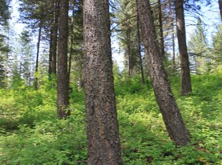 Nna San Souci Dr, Blanchard, ID 83804