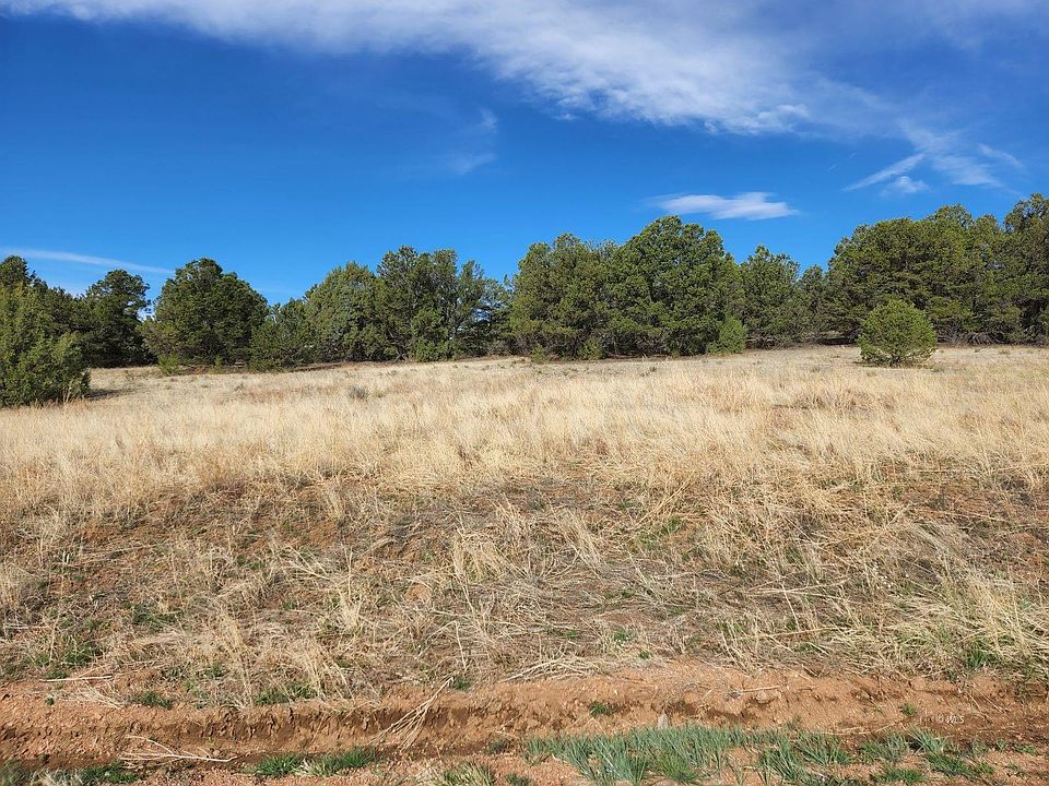 1st image of 1137 Texas Creek Ln