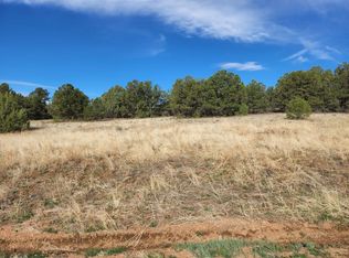 1137 Texas Creek Ln, Cotopaxi, CO 81223