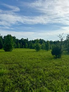 135 Jolene Ln, Searcy, AR, 72143