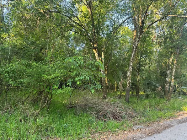 NE RIVER MILL DRIVE, ARCADIA, FL 34266