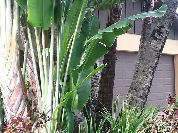 4th image of 414 Tequesta Dr