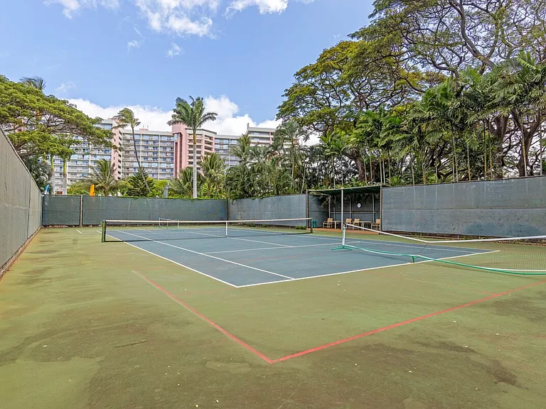 110 Kaanapali Shores Pl #10-ID1035879P — Photo 42