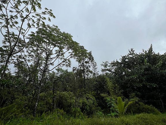 4th image of Railrd Rd