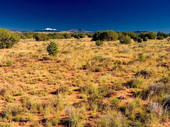 2807 S Goldenrod Dr, Williams, AZ 86046