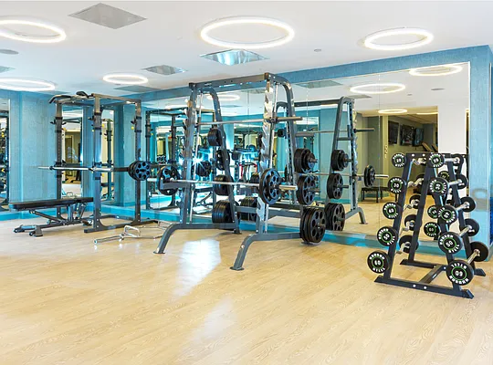 Rented by Nancy Packes Inc. | media 23