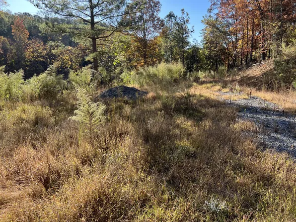 8611 Ramsey Acres Rd, Harrison, TN 37341