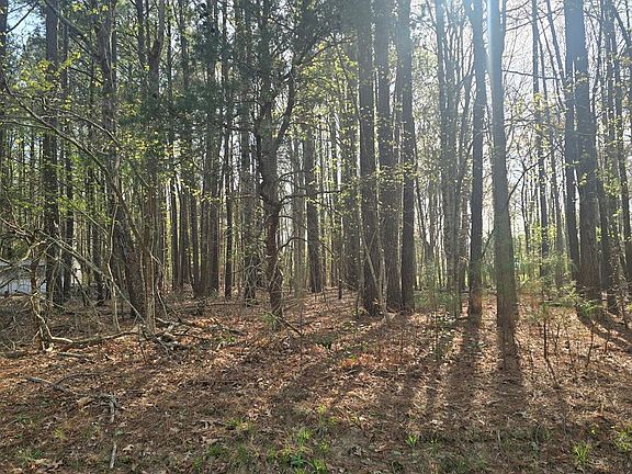 4th image of LOT 2 Pine Meadows Way