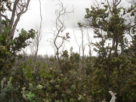 2nd image of 92-2128 Mahimahi Dr Lot 5