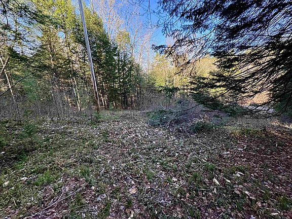 5th image of 0 Branch Brook Road
