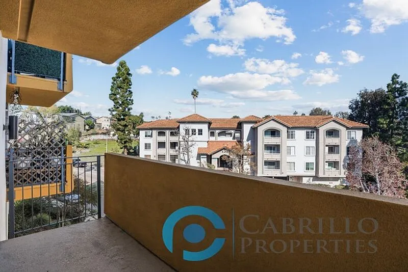 2 bed, 2.0 bath, 996 sqft, $3,000 — Photo 4