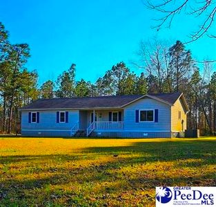 89 Brooklyn Ave, Hemingway, SC, 29554
