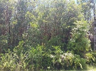 11 3017th #7130, Mountain View, HI 96771