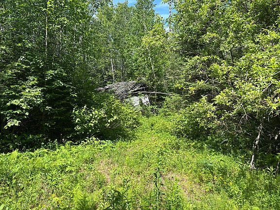 3rd image of 11703 Jacobs Rd