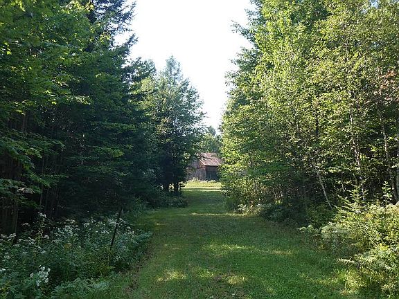 2nd image of 217 Tyler Rd